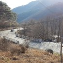 광양진틀펜션 이미지
