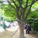 신평1동-16 Daum카페