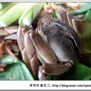 김포한탄강메기매운탕 이미지