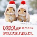 강원방 출석글 [12월 29일](금) 이미지