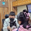 임프로동물병원 이미지