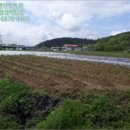 판문동-1 이미지