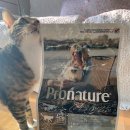 현미프로헤어 이미지