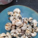 주문진농수산