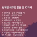 포모