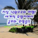 (주)대구그랜드관광호텔사우나 | 베트남 다낭 미케비치 골프투어 4성급 5성급 호텔 숙박 명문 골프장 패키지 여행 정보 및 후기