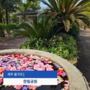 야자수 나라에서 만난 우리 | 제주도 가볼만한곳 추천 한림공원 하루 종일 있어도 모자란 후기