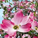 선교 중앙교회 앞 이미지