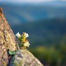 우리에너지 이미지