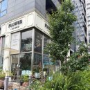 피오레베로 | 파주 야당역 꽃집 '피오레베로 플라워' 꽃다발 주문 후기