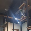 황토생선모듬구이 이미지