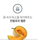 슬림