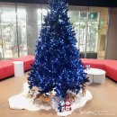 보스휘트니스 이미지