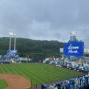 삼오당어머니김밥 | [야구] 기아타이거즈 4번째 직관 - 대구 삼성라이온즈파크