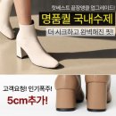바닐라 이미지
