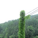 용소골농장 이미지