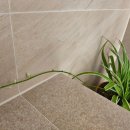 수수다올 이미지