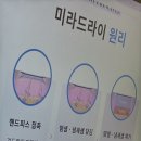 원아워 미라드라이 프레쉬 후기 가격, 실비 등 여름 땀 고민 해결