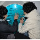 공연 전시장길 코스 이미지