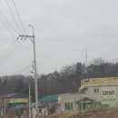 일품손만두