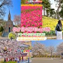 씨유 천안단대로드점 | 충남 가볼만한곳 5곳!! 국내 봄 여행지 3월 꽃구경/4월 벚꽃명소 데이트 (유기방가옥 수선화 축제,태안...