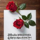 ♻완고하고 어리석은 백성 이미지