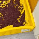 오감만족 클레이 | [내돈내산] 키노숲 방문 후기｜베이킹·오감체험·감각자유놀이까지 분리수업 만족도 최고