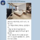 강릉 스카이베이호텔 경포 이그제큐티브 트윈 오션뷰 이용 후기