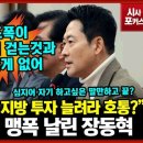 시포
