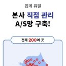 리젤펠리스 이미지