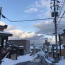 야니랜드 이미지