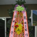 가우리 이미지