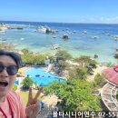 시니어 영어 심화 이미지