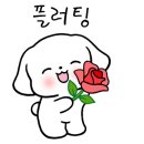 컴퓨터 실무(엑셀) 이미지