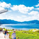 바람의언덕 이미지