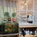 평안안마지압원 | 서면전포동안마 목 어깨 뻐근했었는데 방문하길 잘 했어요