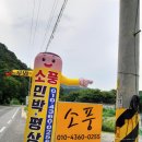 소풍펜션민박 이미지