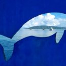 케이케이 짐 이미지