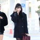 수인