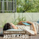 세이프스테이