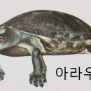 동남부화장 이미지