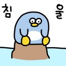 와동태권도 이미지