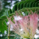 평리민박 이미지