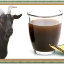 명품염소농장 이미지