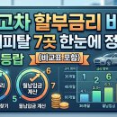 신용매직카 | 중고차 할부금리 비교 — 캐피탈사 7곳 금리·월납입금 한눈에 정리 (비교표 포함)