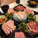 하참치 이미지