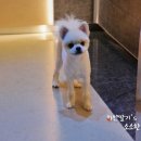 태양엘리베이터(주) 이미지