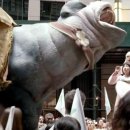 미란코퍼레이션 이미지