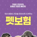 아담스커뮤니케이션즈 이미지