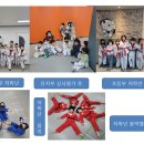 한국체대리더스태권도장 이미지